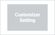 Customizer Setting