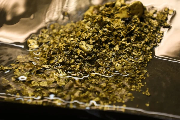 Bikin Heboh, 43 Kg Emas dan 3 Ton Perak Ditemukan di Selokan Swiss!
