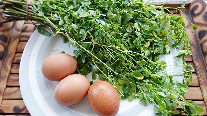 Badan Gizi Nasional Ganti Susu Dengan Telur Atau Daun Kelor Untuk MBG