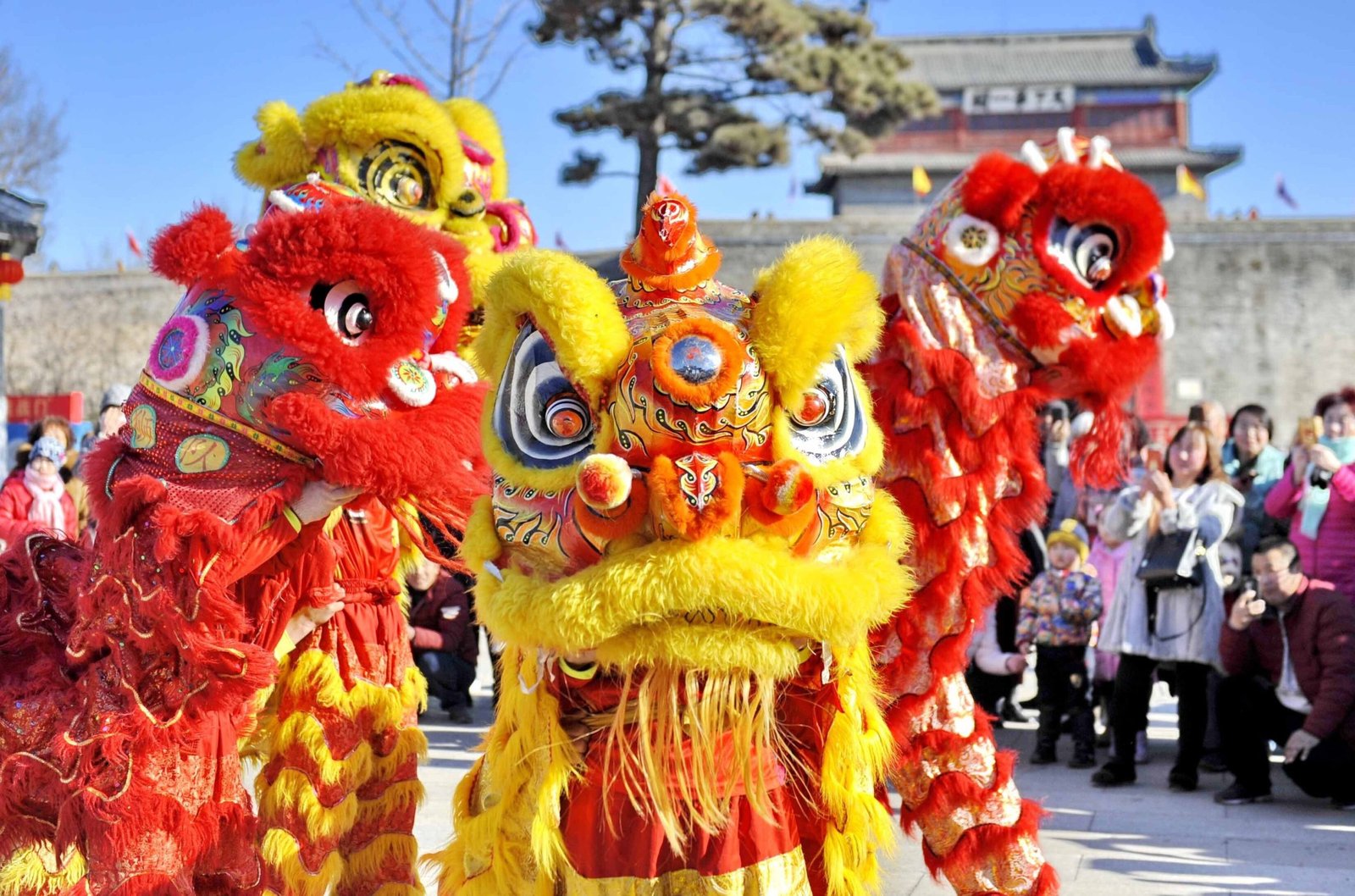 Meriahkan Imlek 2025, Inilah Deretan Lokasi Atraksi Barongsai di Jakarta!
