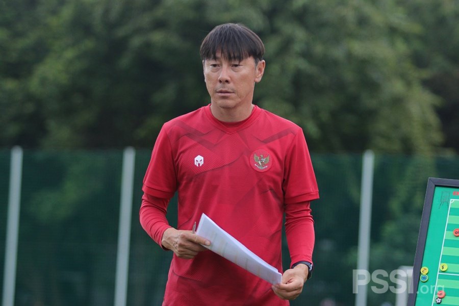Shin Tae-yong Dipecat, DPR RI Panggil PSSI dan Menpora