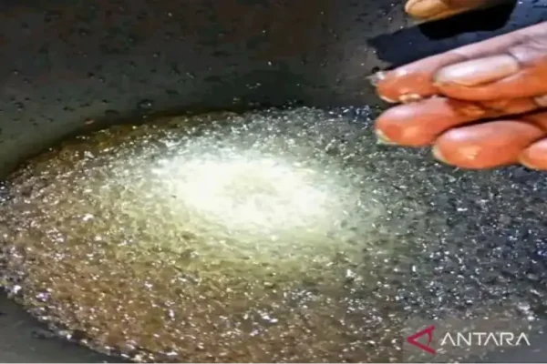 Langka! Desa Leyao Gorontalo Diselimuti Hujan Jelly, Ini Penjelasannya