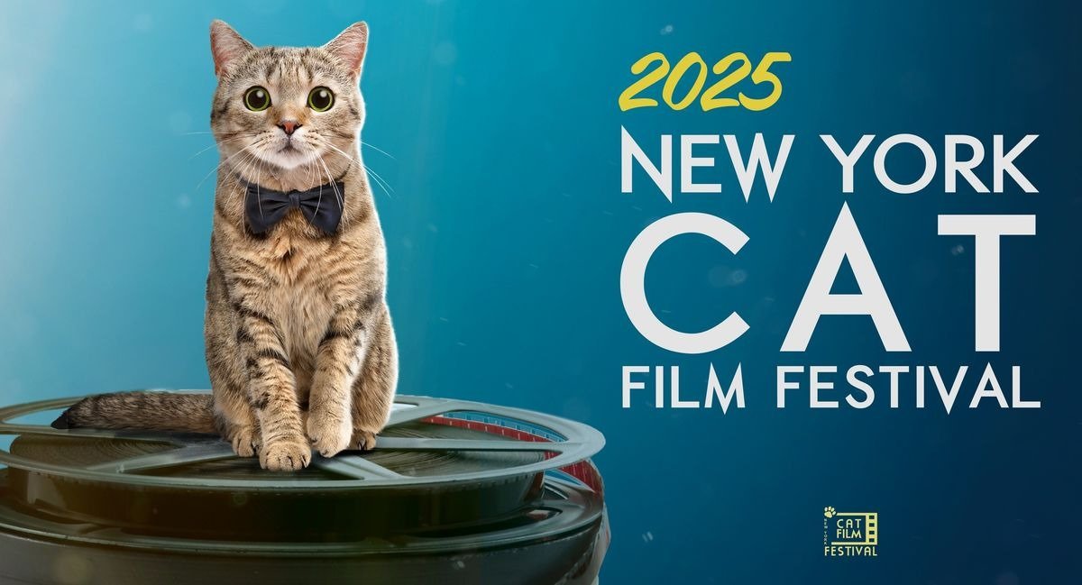NY Cat Film Festival: Ketika Kucing Jadi Aktor Layar Lebar