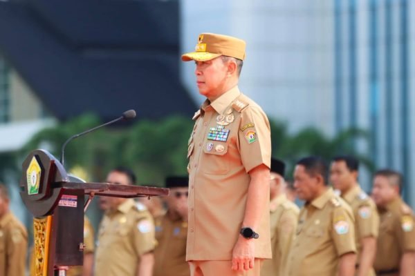 Gubernur Sultra Ingin Bangun Pemerintahan yang Solid dan Profesional