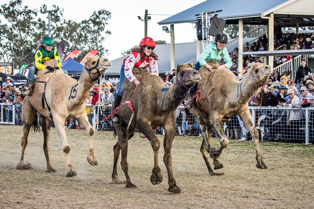 Balap Unta Jadi Cabor Baru di Asian Youth Games Bahrain 2025