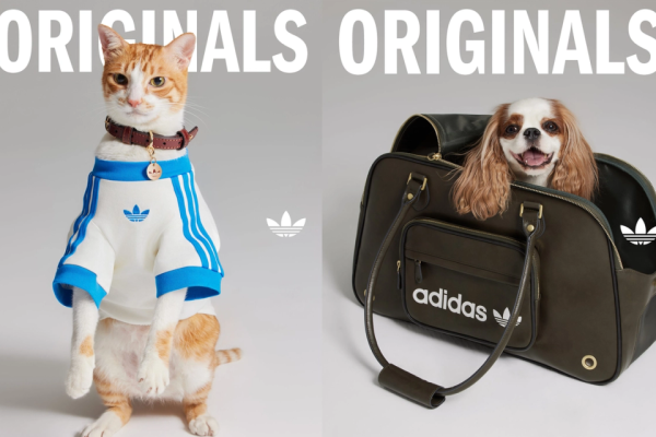 Perdana! Adidas Rilis Koleksi Pakaian dan Aksesoris Hewan Peliharaan