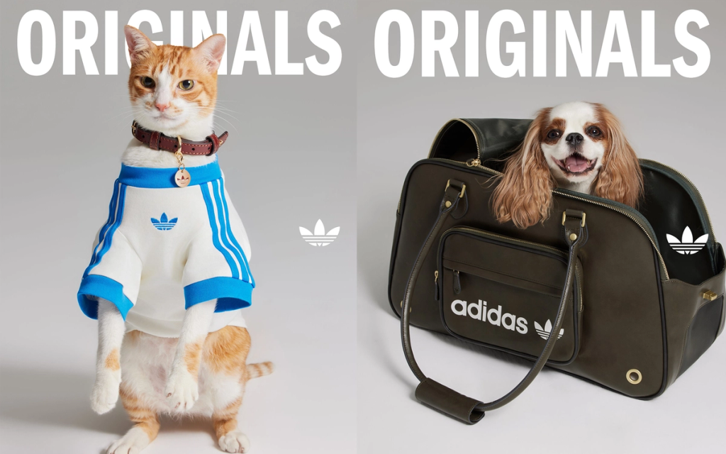 Perdana! Adidas Rilis Koleksi Pakaian dan Aksesoris Hewan Peliharaan