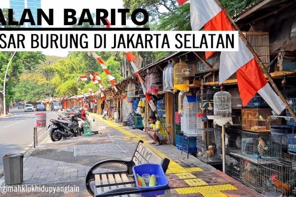 Buat Taman ASEAN, Pemkot Jaksel Akan Relokasi Pedagang Burung Barito