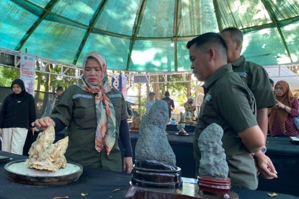 Pameran Nasional Bonsai dan Batu Suiseki menyemarakkan peringatan Hari Ulang Tahun ke-80 Kemerdekaan Republik Indonesia di Kabupaten Sidenreng Rappang (Sidrap). Foto: dok.pribadi