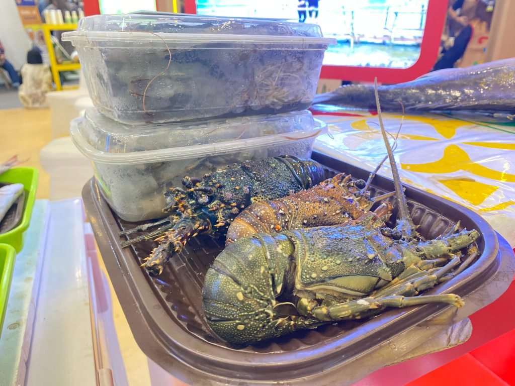 Lobster Kabupaten Banggai/Foto : Dok Fifi Abdurahman