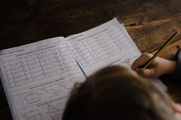 Wamen Stella nilai program MBG (makan bergizi gratis) bisa tingkatkan kemampuan matematika dan bahasa inggris siswa/Foto : Ilustrasi Dok. Shutterstock