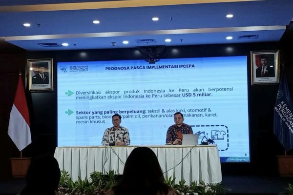 Dirjen Perundingan Perdagangan Luar Negeri, Djatmiko Bris Witjaksono, saat menyampaikan pemaparan kerjasama ekonomi Indonesia dan Peru di auditorium kementerian perdagangan, Jakarta, Selasa (12/8). Foto: Gpriority/Rizqi Juned