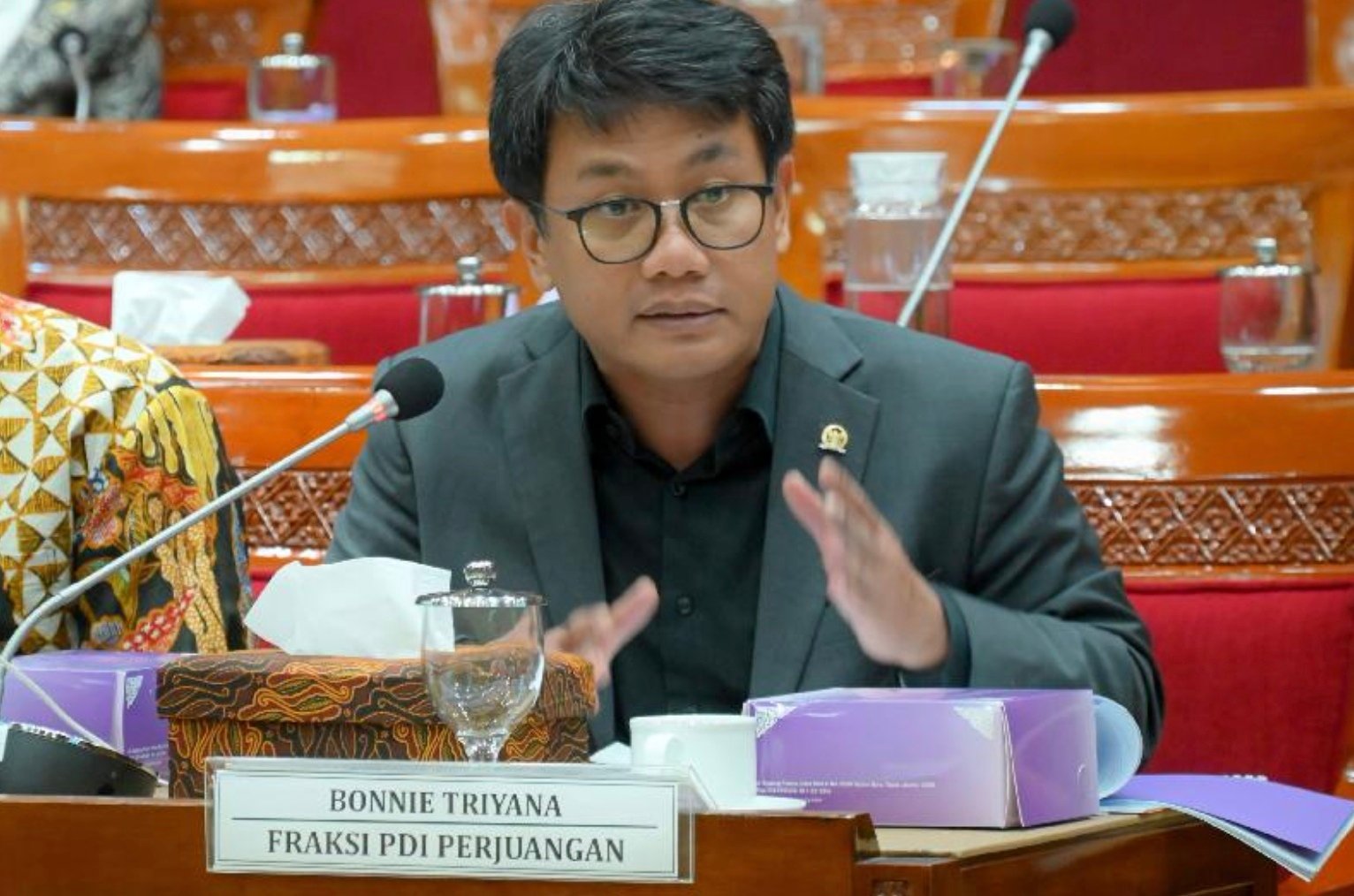 Anggota Komisi X DPR RI dari Fraksi Partai Demokrasi Indonesia Perjuangan (PDIP) Bonnie Triyana. Foto: gesuri.id