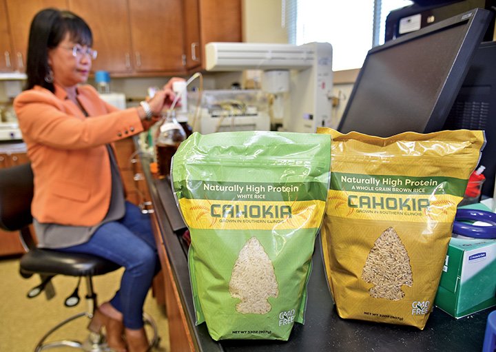 Beras Cahokia atau Cahokia Rice inovasi dari ilmuwan Indonesia/Foto : Dok. LSU AgCenter