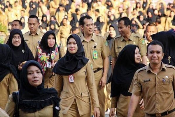 Aparatur Sipil Negara. Foto: (Dok/Pinterest)
