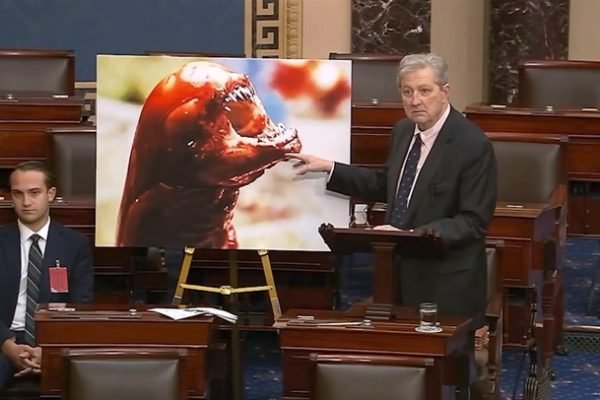 Senator AS, John Kennedy, sebut makan udang impor dari Indonesia bisa buat orang jadi alien/Foto : Dok. The Independent