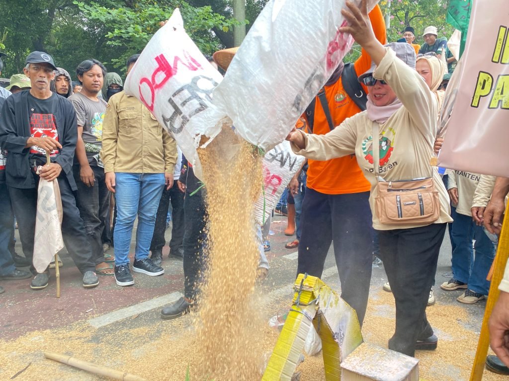 Momen petani hamburkan empat karung gabah kering di Monas/Foto Fifi Abdurahman