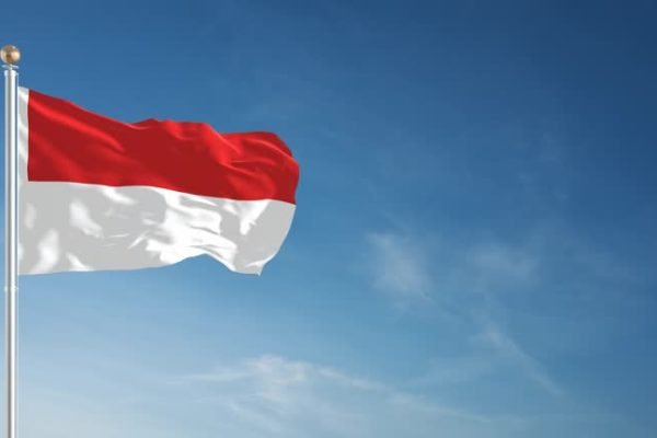 Pengibaran Bendera Merah Putih di Peringatan Hari Sumpah Pemuda/Foto iStock