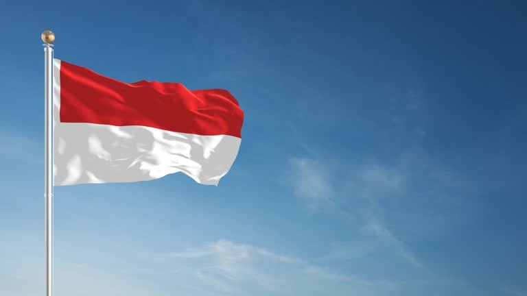 Pengibaran Bendera Merah Putih di Peringatan Hari Sumpah Pemuda/Foto iStock
