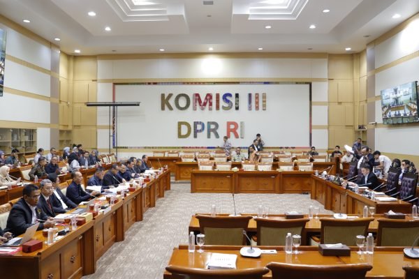 5 Poin Berbahaya Dalam RUU KUHAP yang Akan Disahkan Hari Ini/Foto : Dok. YouTube TNP Parlemen
