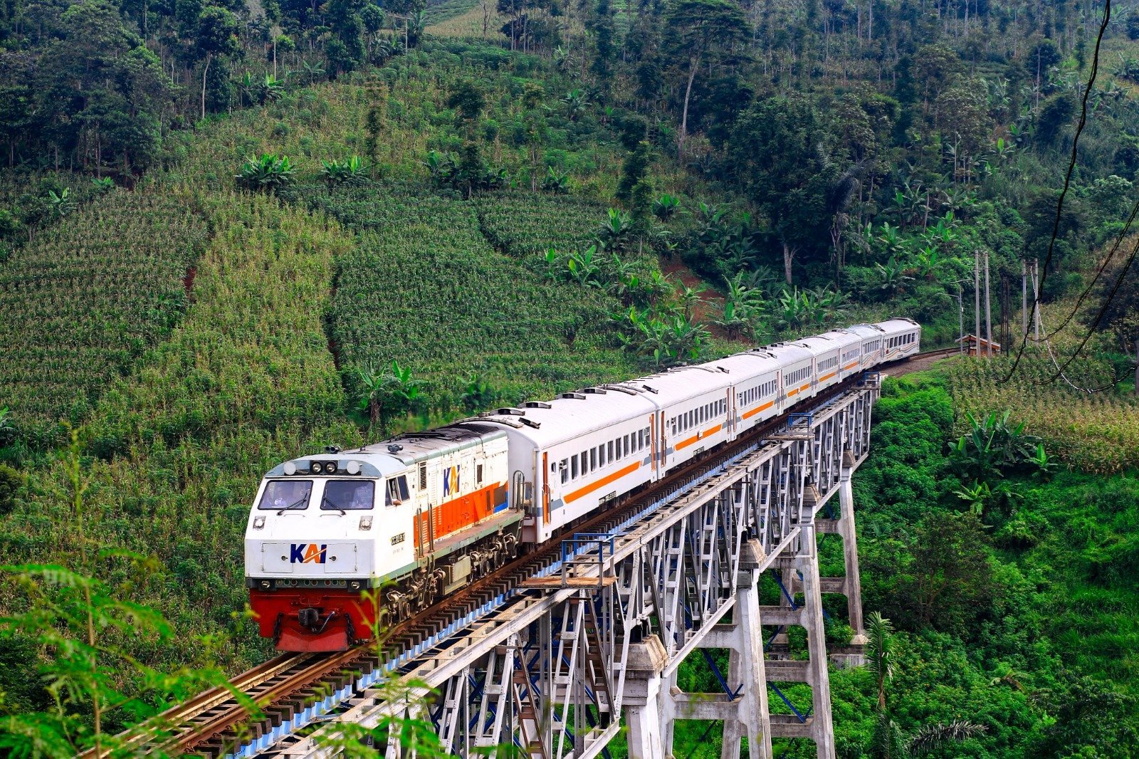Saingi Kereta Whoosh, KA Parahyangan Makin Banyak Diminati/Foto : Dok. PT KAI