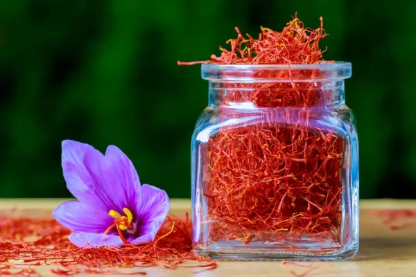 Manfaat Tersembunyi Saffron: Obati Depresi dan Tingkatkan Kesehatan Seksual/Foto : Ilustrasi Dok. Freepik