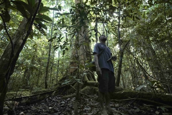 Dana iklim untuk Masyarakat Adat kurang dari 10 persen atau sekitar US$1,5 miliar/Foto LaporIklim