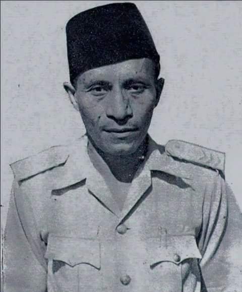 Sultan Zainal Abidin Syah resmi menjadi Pahlawan Nasional/Foto Wikipedia