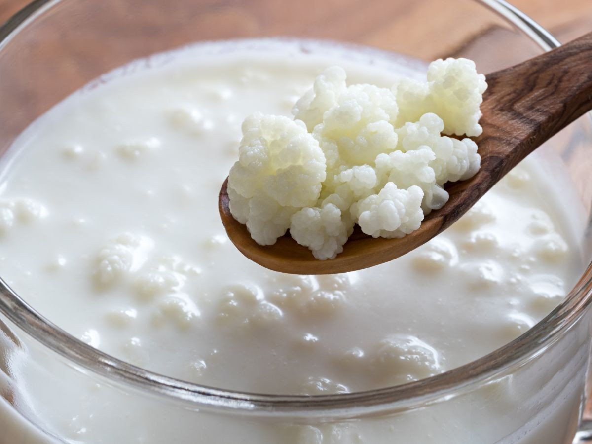 Susu fermentasi kefir kaya akan manfaat, salah satunya untuk mencegah penuaan/Foto : Ilustrasi Dok. Getty Images