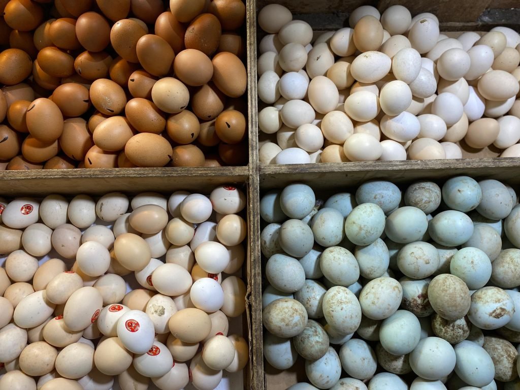 Harga telur di Jakarta mengalami kenaikan Nataru 2025/2026/Foto Fifi Abdurahman