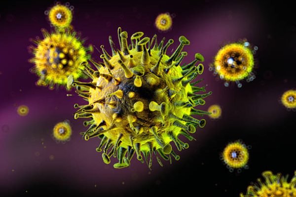 Ilustrasi virus Influenza A(H3N2) Subclade K/Foto iStock