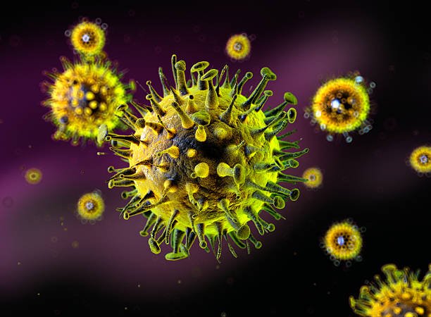 Ilustrasi virus Influenza A(H3N2) Subclade K/Foto iStock