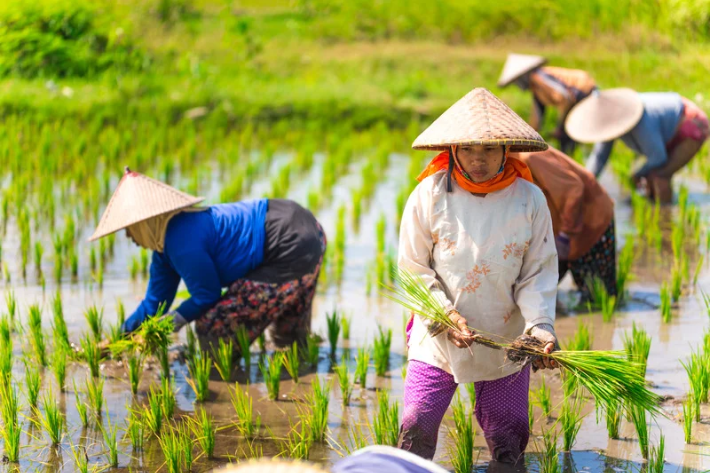 fenomena female breadwinners menggambarkan sosok wanita pekerja keras yang menjadi tulang punggung bagi keluarganya/Foto : Ilustrasi Dok. iStock