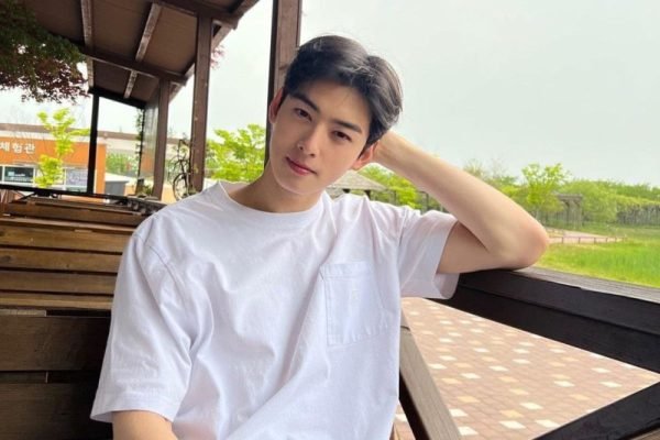 Aktor Korsel Cha Eun Woo gelapkan pajak?/Foto : Dok. Instagram @eunwo.o_c