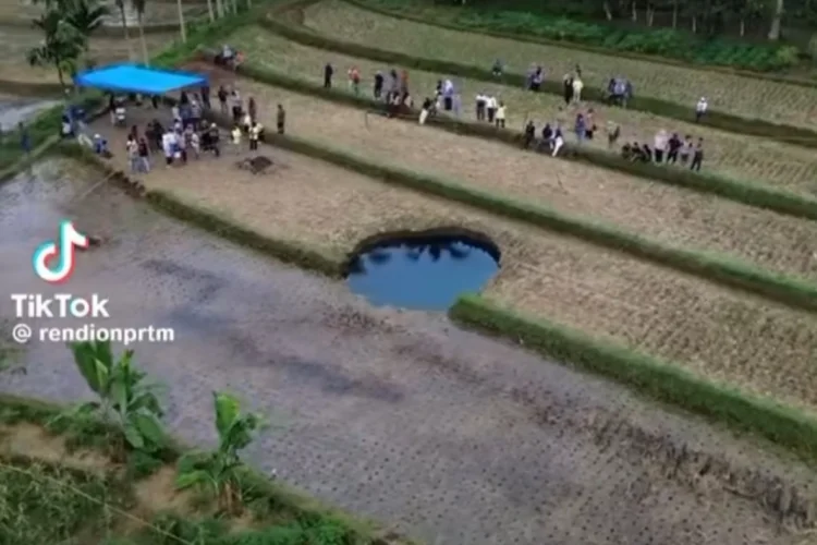 Penampakan fenomena sinkhole di Kabupaten Limapuluh Kota Sumbar/Foto : Tangkapan Layar TikTok (@rendionprtm)