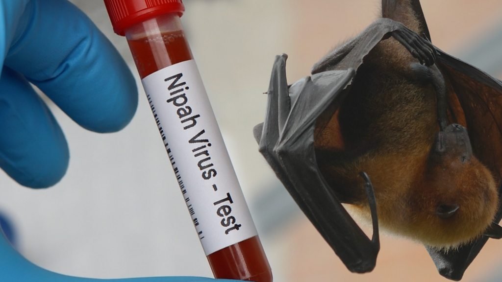 Wabah virus Nipah terdeteksi di India, Kemenkes RI buka suara soal kasusnya di Indonesia/Foto : Ilustrasi Dok. Freepik