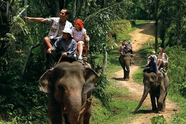 atraksi menunggangi gajah jadi salah satu daya tarik pariwisata di berbagai daerah di Indonesia/Foto : Dok. Pinterest