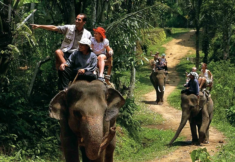 atraksi menunggangi gajah jadi salah satu daya tarik pariwisata di berbagai daerah di Indonesia/Foto : Dok. Pinterest