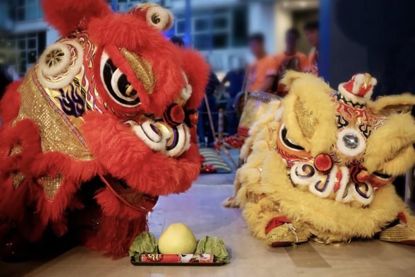 Atraksi barongsai. Foto: istimewa