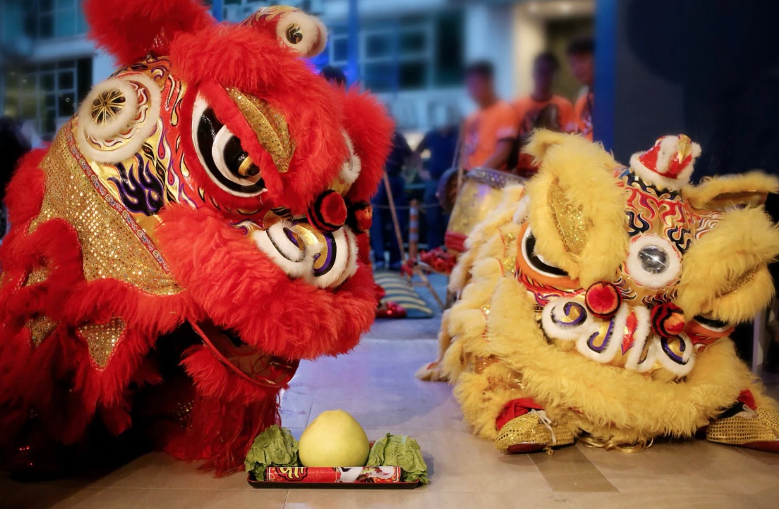 Atraksi barongsai. Foto: istimewa