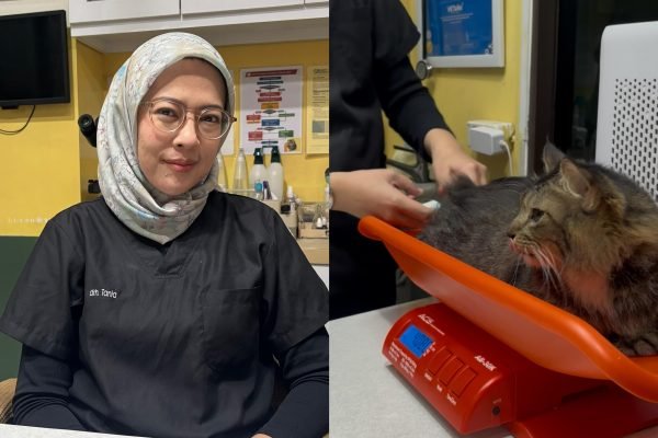 Pet hotel menjadi solusi tepat saat pemilik hewan ingin pergi mudik tanpa rasa khawatir/Foto : Dok. GPriority (Nindya Farhah Azzahrah)
