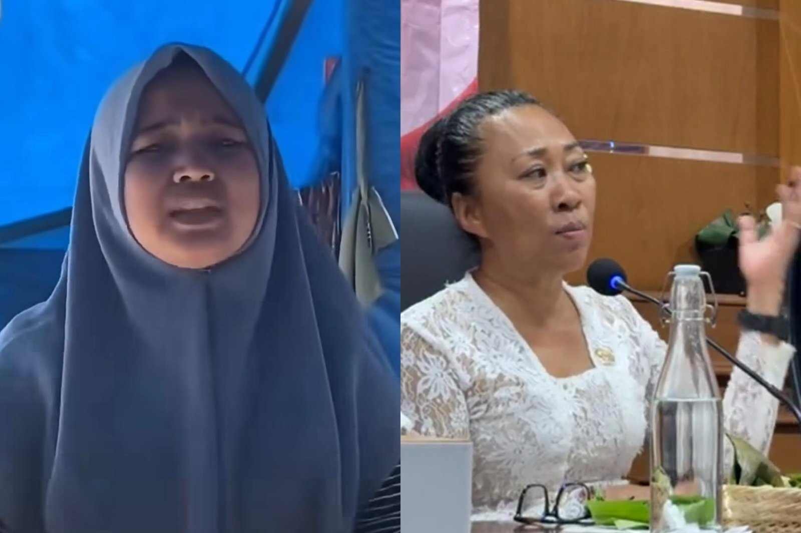 Wanita di Aceh Tamiang yang bantah klaim Prabowo - Anggota DPD RI dan aktivis Ni Luh Djelantik/Foto : Dok. Instagram @niluhdjelantik