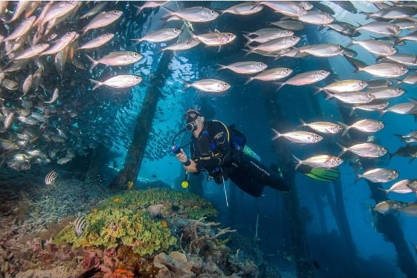 Spot Diving di Raja Ampat. Foto: papuaparadise