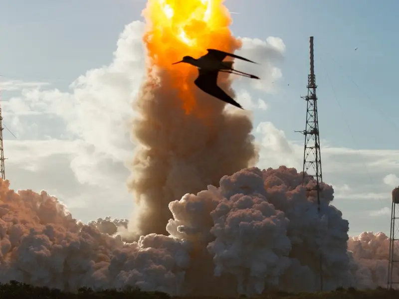 Ilustrasi Misi Artemis 2/Foto : Dok. NASA