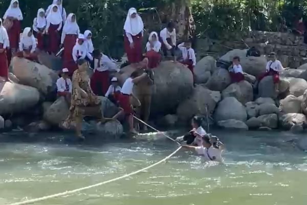 Potret siswa SD Negeri 157 Bukit Berantai terpaksa berenang menyeberangi sungai demi tetap bisa berangkat sekolah/Foto : Dok. Istimewa