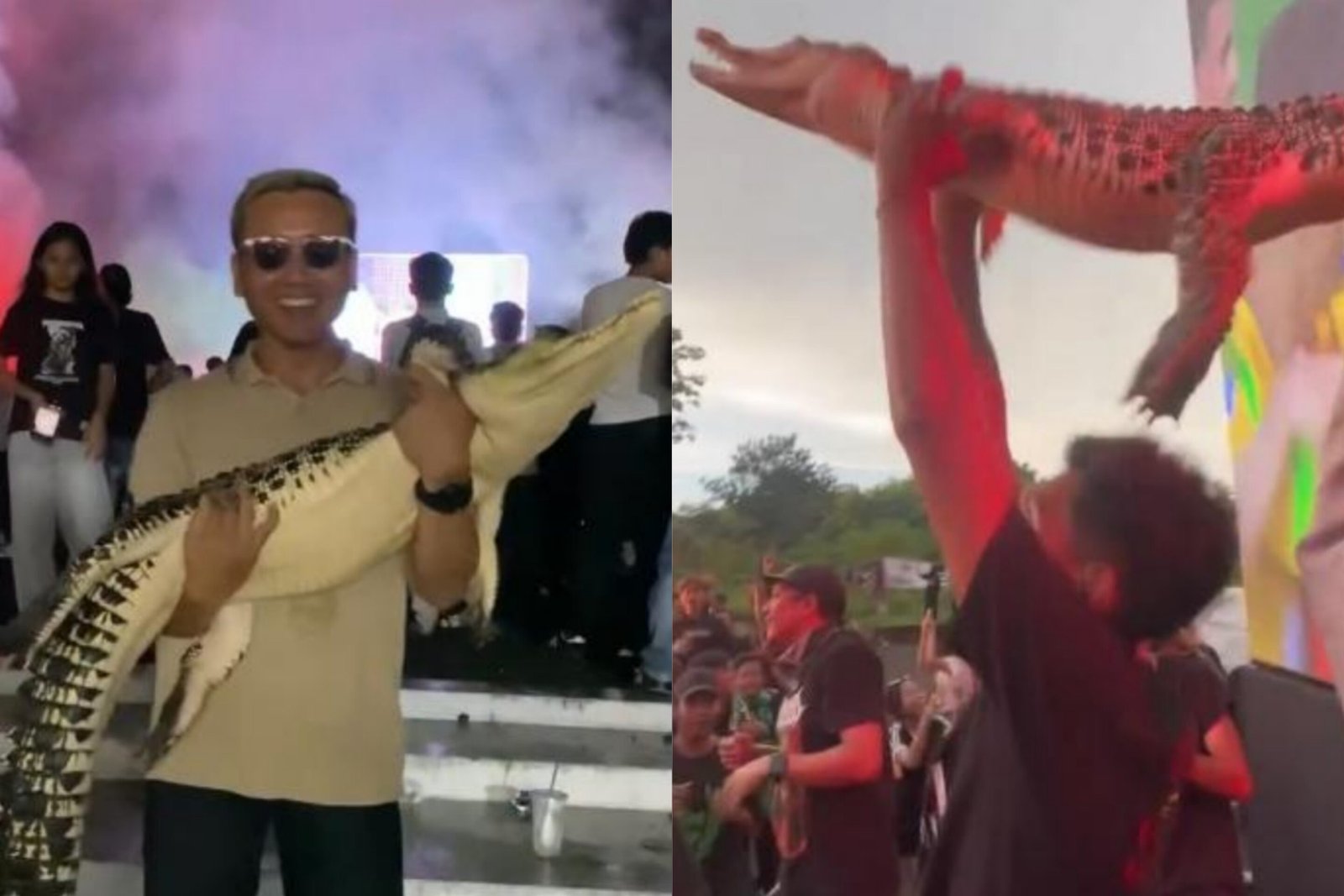 Suporter Persebaya Surabaya bawa buaya hidup saat pertadingan melawan Arema FC beberapa waktu lalu/Foto : Dok. Instagram @nobargeden