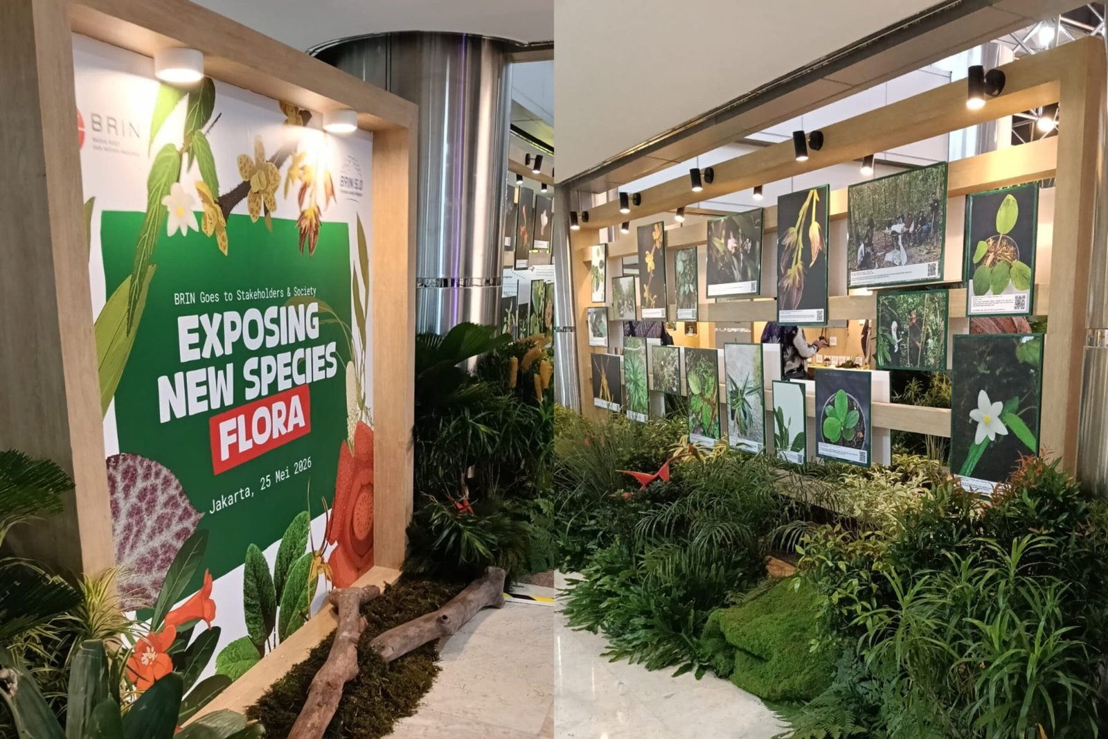 Acara "BRIN Goes to Stakeholders and Society: Exposing New Species-Flora" yang berlangsung pada Senin (25/5) di BRIN M.H. Thamrin, Jakarta/Foto : Dok. GPriority (Nindya Farhah Azzahrah)