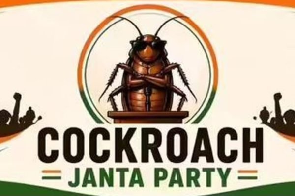 Partai Kecoa India. Foto: istimewa