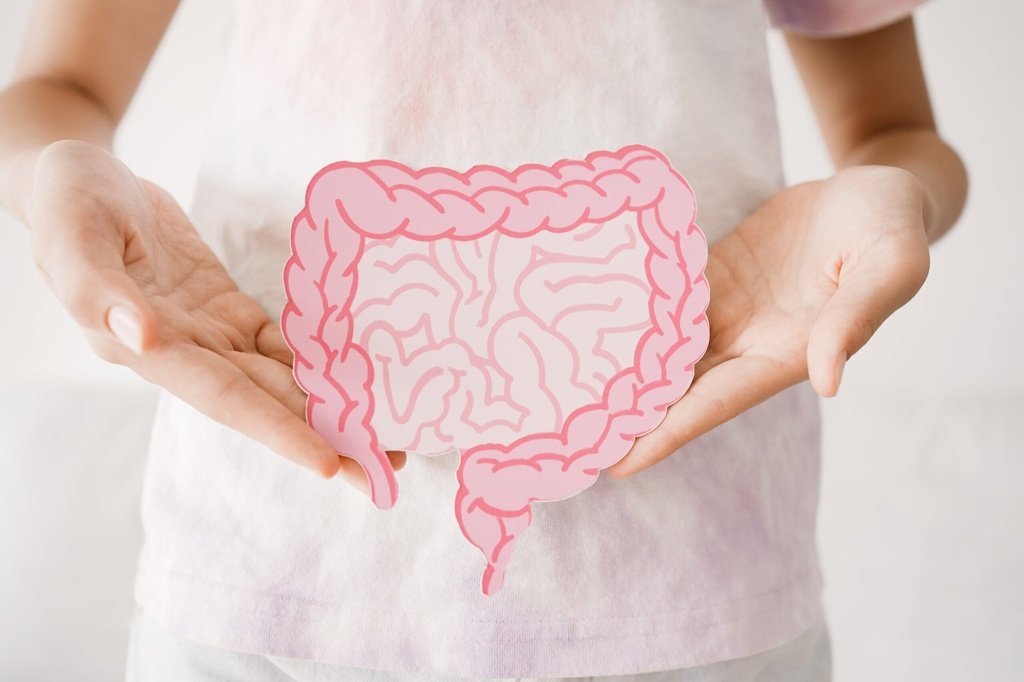 Ilustrasi kesehatan usus/Foto : Dok. Shutterstock