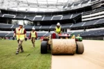 Rumput di MetLife Stadium, New York, New Jersey, saat final Piala Dunia 2026 dijual Rp8 juta per pcs/Foto : Dok. FIFA